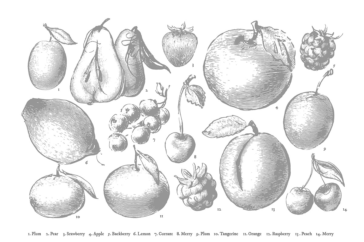 Fruits collection, an Object Graphic by Siosay (Photo 4 of 8)