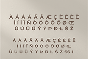 Sanir Retro Serif Font, a Serif Font by Creative Foundry (Thumbnail 8 of 8)