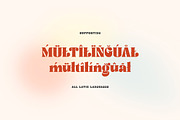 Rengise Rengise Groovy Serif, a Serif Font by Cruzine (Thumbnail 8 of 8)