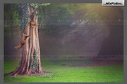 Forest Squirrels Backdrop, a Wallpaper Graphic by MixPixBox (Thumbnail 2 of 3)