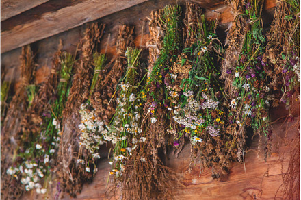 Bouquets of medicinal herbs to dry, a Nature Photo by yanadjana