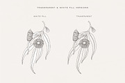 Australian Botanical Illustrations, a Decorative Illustration by rouxsupplyco (Thumbnail 11 of 13)