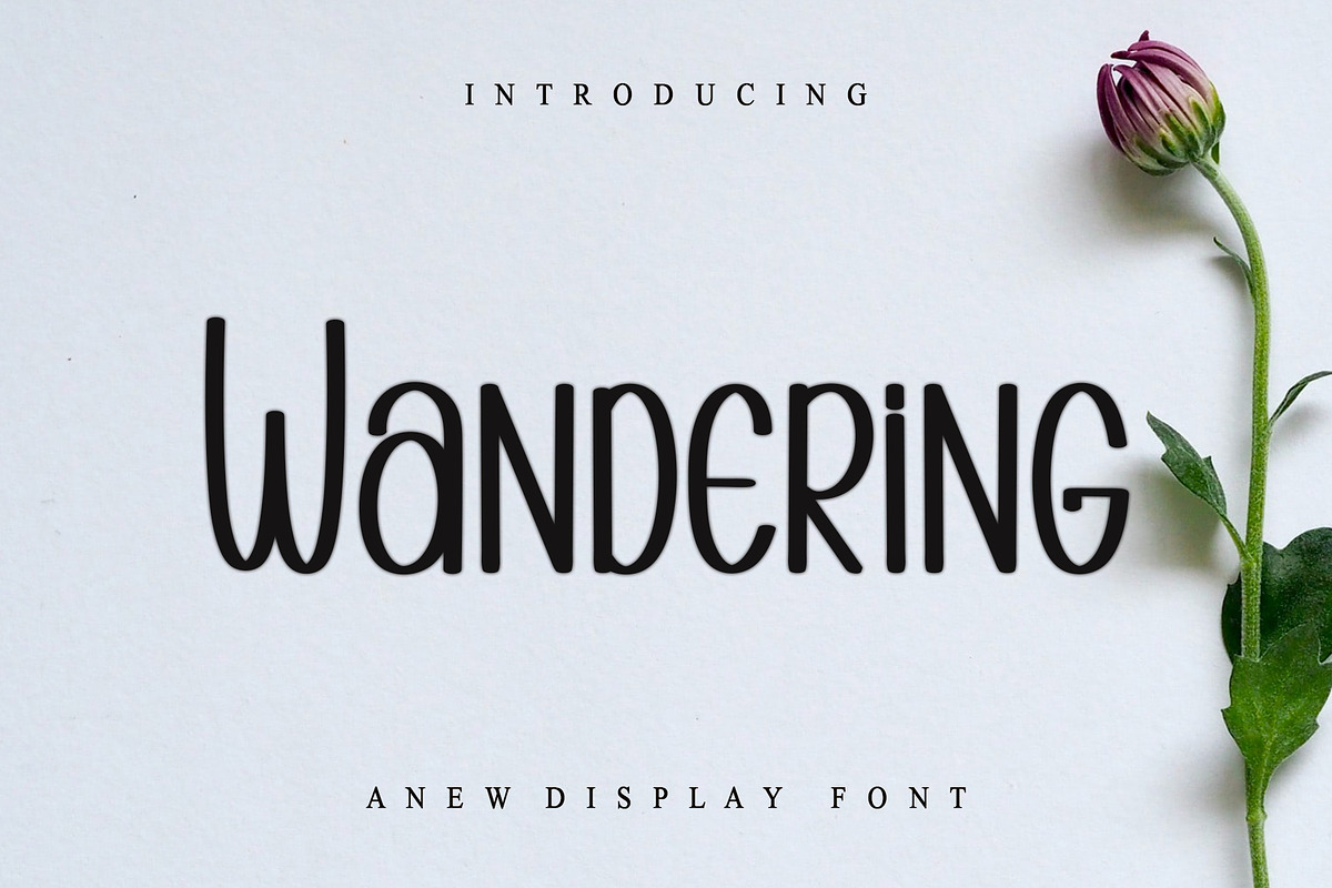 WANDERING, a Sans Serif Font by InermediaSTUDIO (Photo 1 of 6)