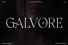 Luxury Ligature Serif Font - Galvore