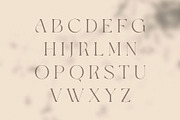 Giflika // Modern Display Serif, a Serif Font by BrandSemut (Thumbnail 10 of 11)