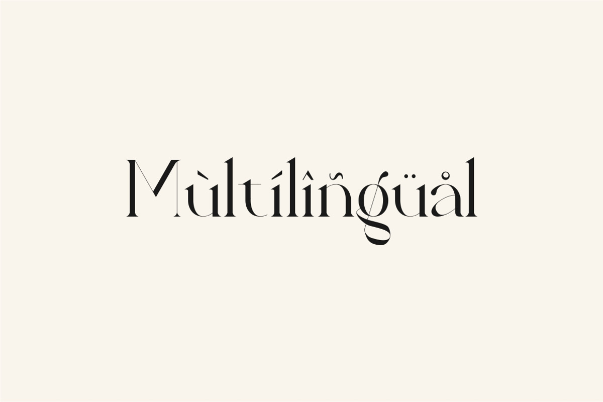 Fragier unique ligature serif font, a Serif Font by suhadidesign (Photo 12 of 14)