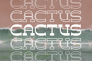Harlon, a Slab Serif Font by Larin Type Co. (Thumbnail 8 of 11)