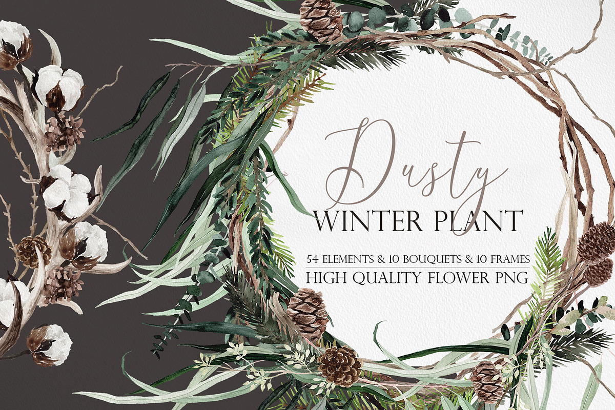Watercolor flower - Dusty Winter, an Illustration by Beigetime (Photo 1 of 14)