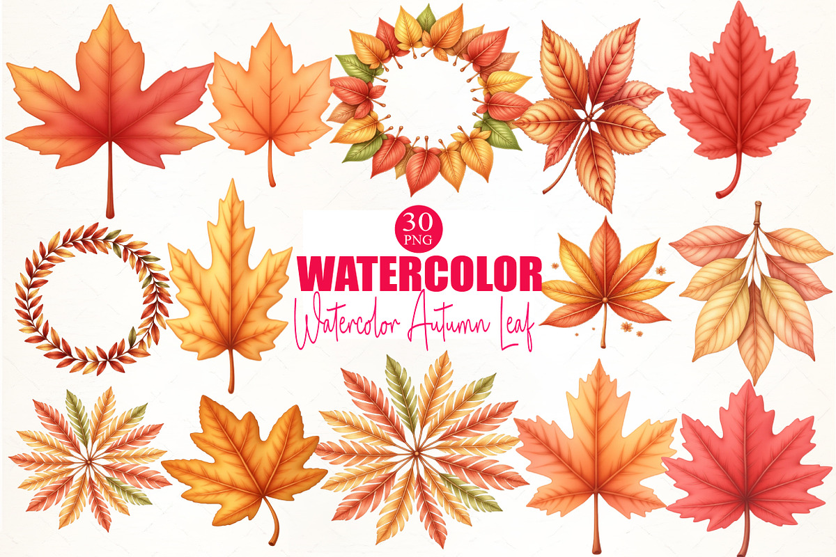 Watercolor Autumn Leaf Clipart, an Illustration by CrexoraLab (Photo 4 of 5)