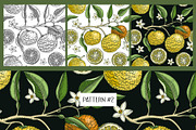 Yuzu - Citrus Fruit and Patterns, a Food Illustration by Yevheniia (Thumbnail 10 of 12)