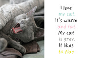 Lazycat Kids font, a Script Font by JuliyArt (Thumbnail 3 of 9)