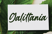 Bellania | handwritten font, a Script Font by Scratchones (Thumbnail 11 of 11)