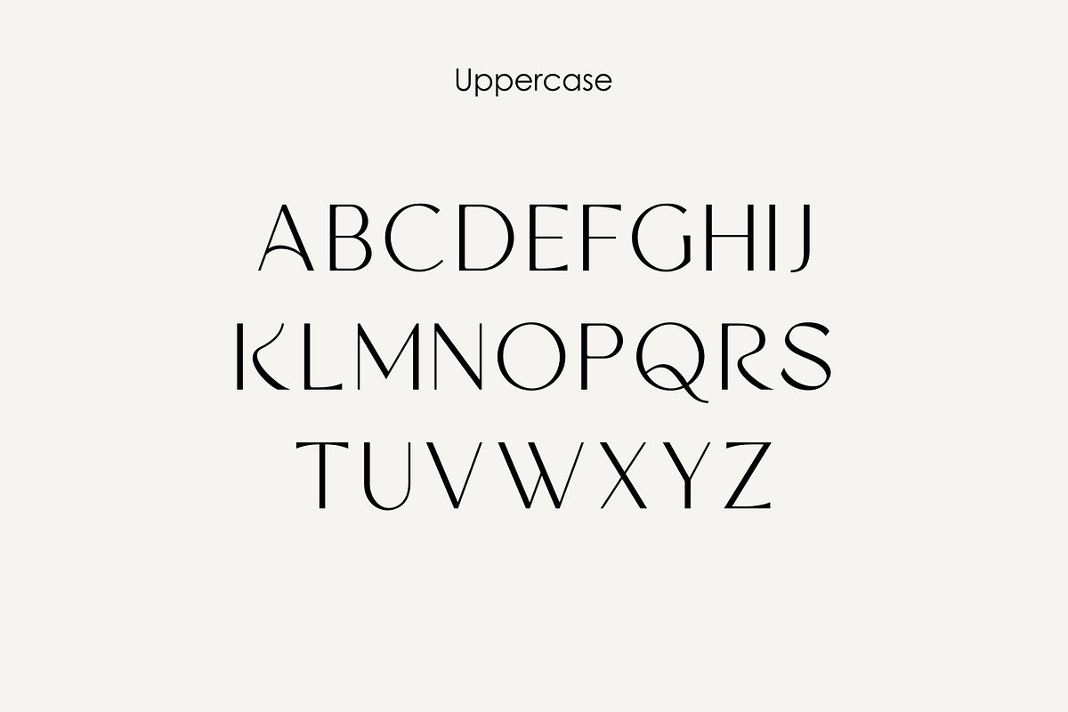 ERIAL | Simple Luxury Serif Font, a Sans Serif Font by WhymoreArt (Photo 9 of 11)