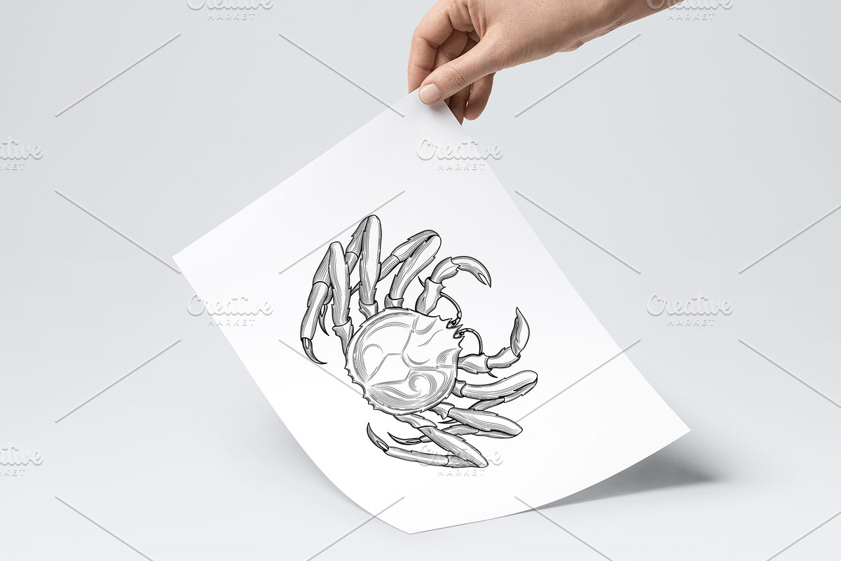 Seafood, an Animal Illustration by VitalinaGofman (Photo 6 of 7)
