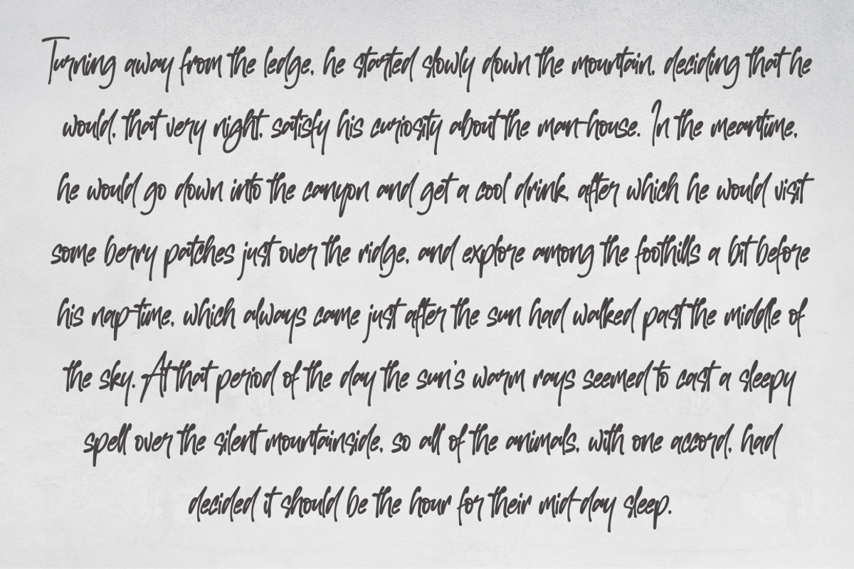 Houston Rockets - 79 Ligatures, a Handwritten Font by NJ Studio (Photo 6 of 8)