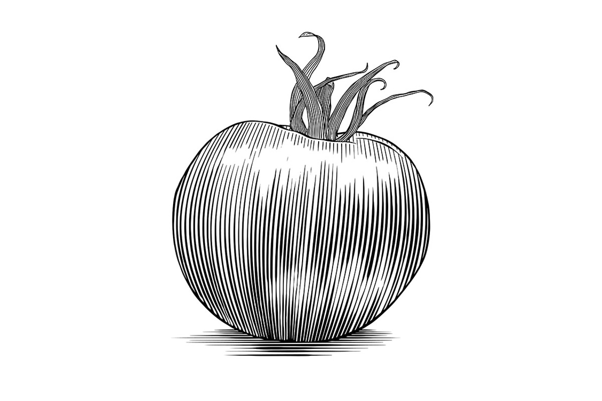 Salsa Vegetables, a Food Illustration by blue67sign (Photo 5 of 5)