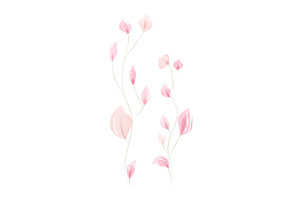 Delicate pink watercolor leaves set, an Illustration by okskukuruza