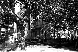 Marylebone Road street scene in London with trees casting dynami, a Photo by Studio ANNA