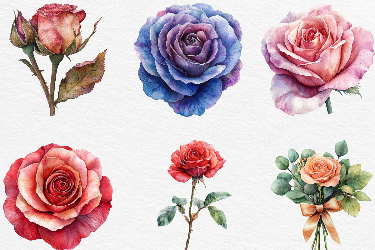 Rose Flower Clipart Bundle, an Illustration by Black Bird Studio (Photo 5 of 6)