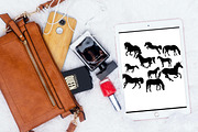 30 Beautiful Horses Brush Stamps, a Brush Add-On by Manifesto Design Gallery (Thumbnail 5 of 5)
