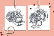 Pomegranate Fruit Vector Set, a Food Illustration by Molly art (Thumbnail 5 of 8)