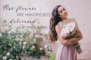 Serenity & Olivia Calligraphy Font, a Script Font by Fine Art Design Studio (Thumbnail 6 of 19)