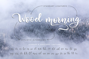 Winter Story Font & Extras