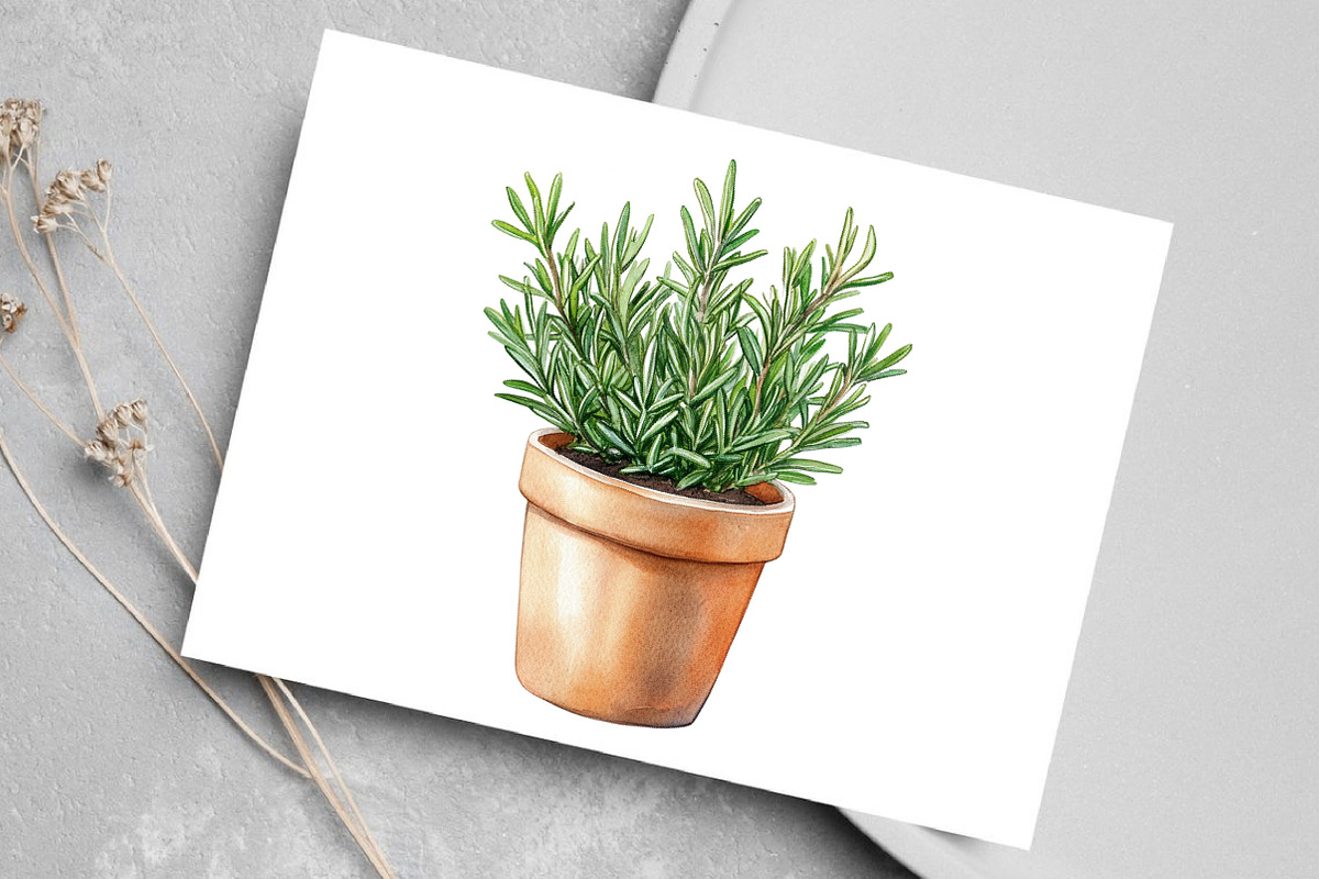 Christmas Houseplants Clipart, an Illustration by Canvas Craft (Photo 7 of 8)