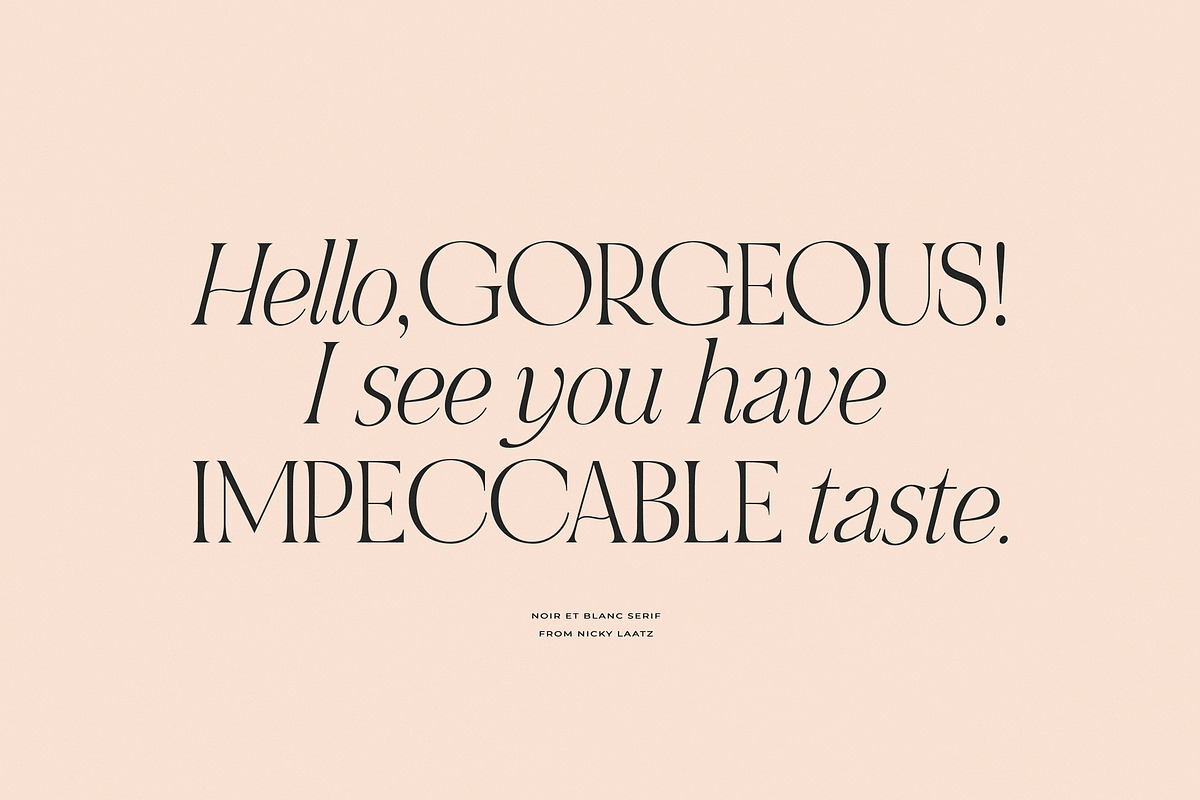 NOIR et BLANC Stylish Serif, a Serif Font by Nicky Laatz (Photo 11 of 41)