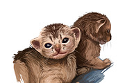 Cats and Kittens, 160 png breeds, an Animal Illustration by Dneprstock (Thumbnail 2 of 11)