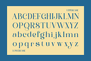 Saltive - Elegant Modern Serif, a Serif Font by Qweera Studio (Thumbnail 11 of 12)