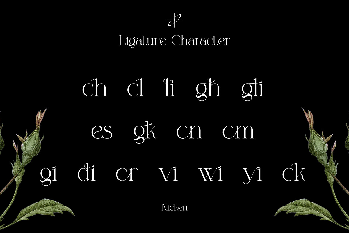 Nicken Modern Serif Typeface, a Serif Font by Alfinart (Photo 8 of 10)