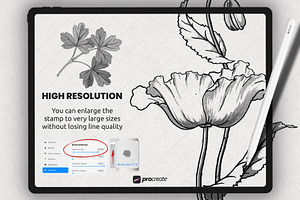 Procreate Floral Brushset Botanice