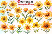 Coreopsis Flower Watercolor Clipart, an Illustration by Watercolor design (Thumbnail 1 of 10)