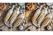 CAPUCHINNO Mobile Lightroom PRESETS, a Preset Add-On by LOTA_CREATIONS (Thumbnail 8 of 8)
