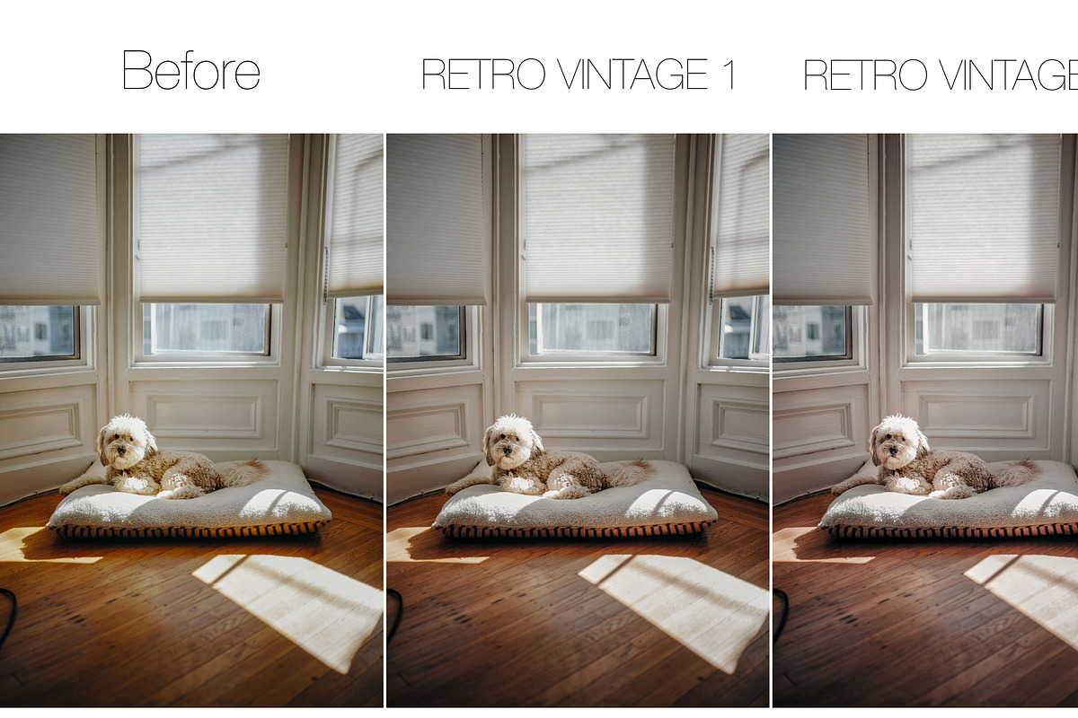 3 Mobile Lightroom, a Preset Add-On by The Red Pine (Photo 4 of 10)