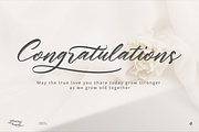 Glamour Bouquet, a Handwritten Font by Aluyeah Studio (Thumbnail 2 of 12)