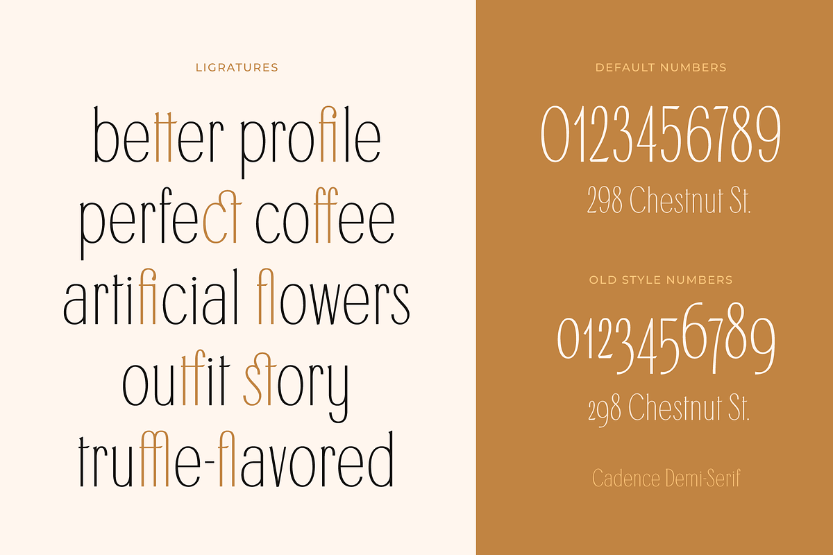 Cadence Demi-Serif Display Font, a Serif Font by Type and Graphics Studio (Photo 25 of 28)