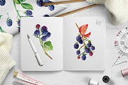 Watercolor Fresh Berries, a Decorative Illustration by Hanna Hryharenka (Thumbnail 8 of 16)