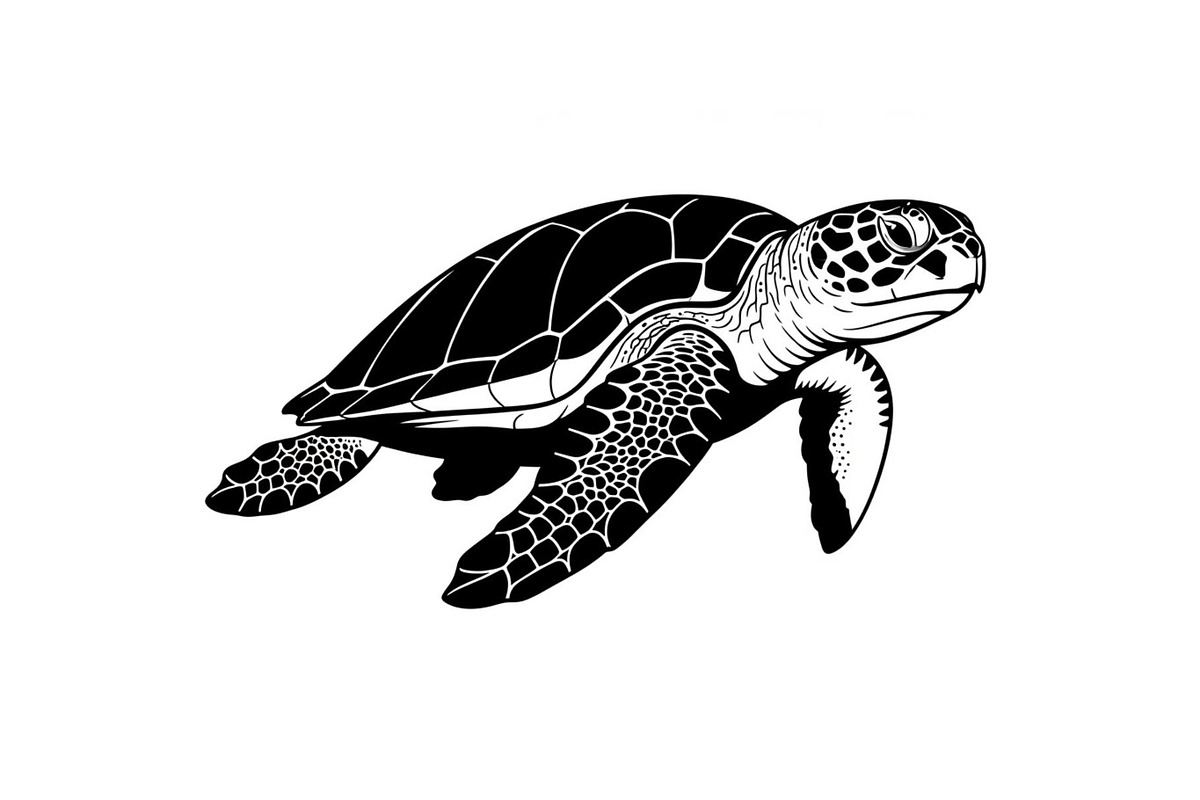 50 Sea Turtle Vector Silhouette Bund, an Illustration by jahid234 (Photo 10 of 51)