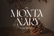 Artsy | Modern Stylish, a Sans Serif Font by Muntab_Art (Thumbnail 5 of 9)