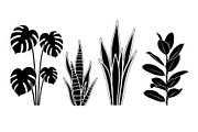 Minimal Botanical Leaf Silhouette Bu, an Illustration by Creativeshirt (Thumbnail 39 of 51)