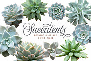 Succulents - Botanic Specimens, an Object Graphic by Turning Moss (Thumbnail 5 of 5)