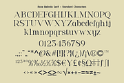 Roze Belinda - Display Font Duo, a Slab Serif Font by Sign Studio (Thumbnail 14 of 15)