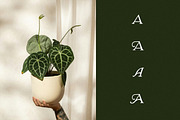 Aurellia - A Vintage Display Font, a Script Font by Tom Chalky (Thumbnail 7 of 7)