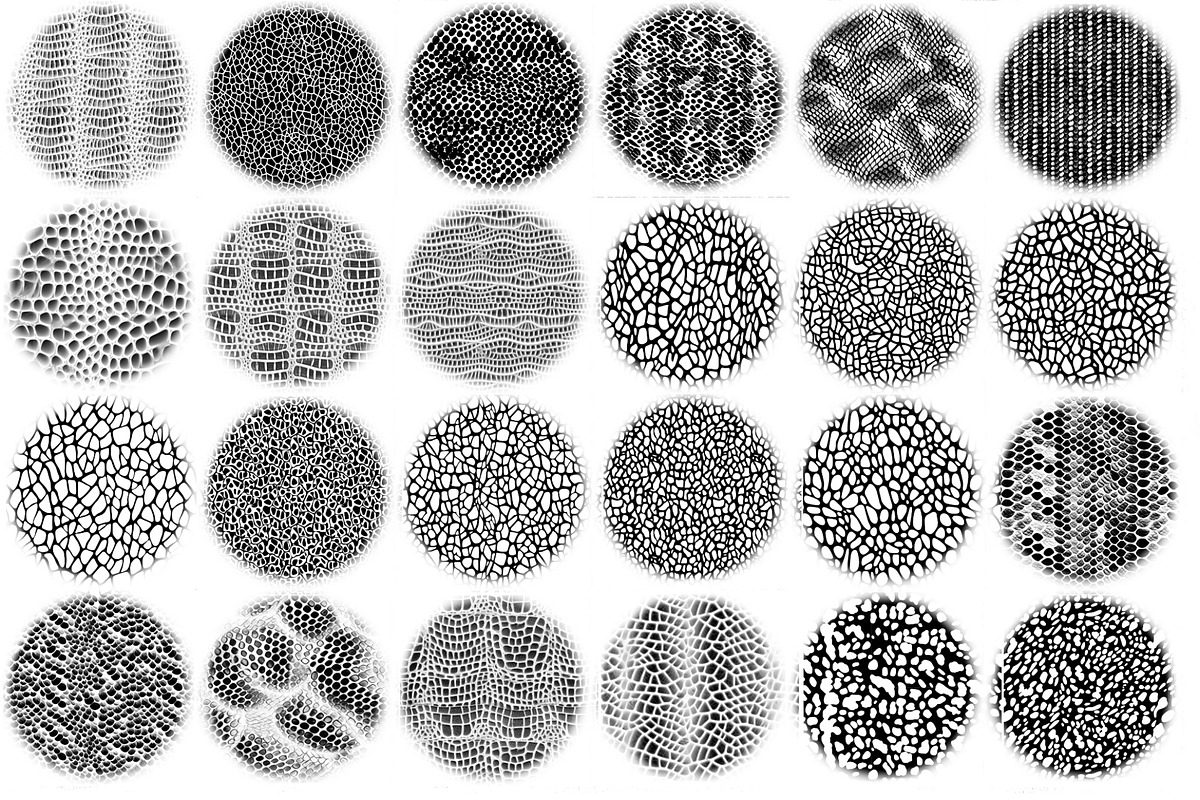 Animal print Procreate 100 brush set, a Brush Add-On by Elenbushe (Photo 5 of 7)