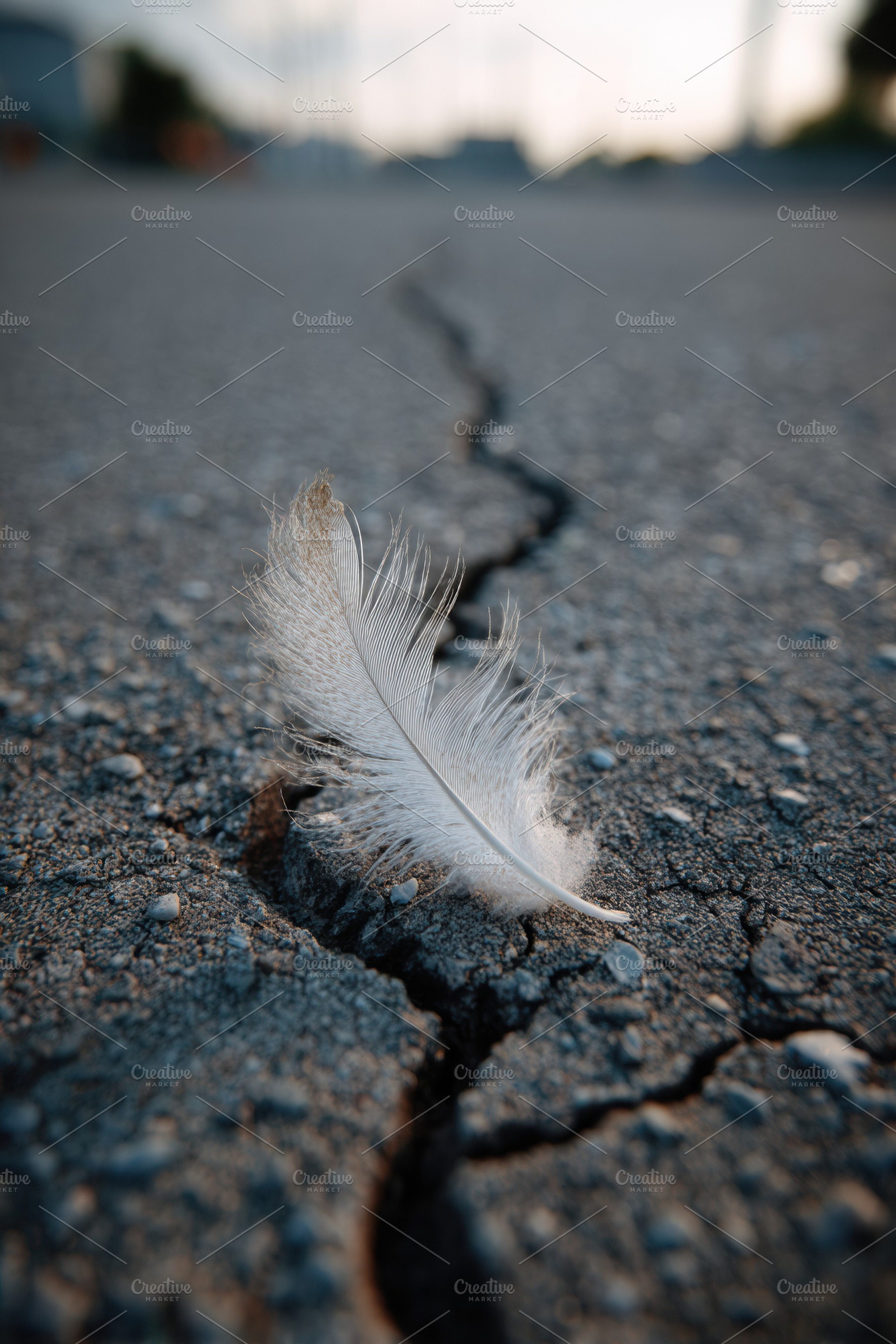 Tiny Feather on Cracked Pavement, a Background Photo by Virgo Studio