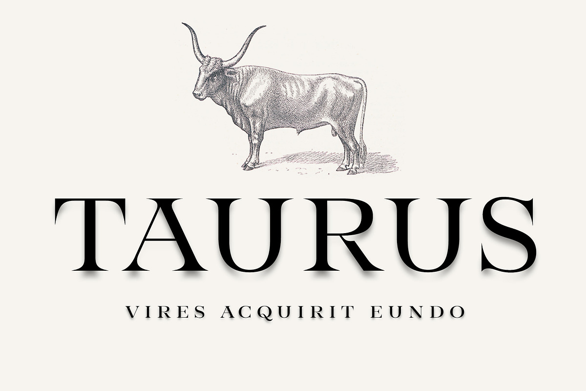 Taurus -high class serif, a Serif Font by Fenotype (Photo 1 of 9)