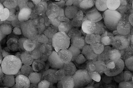 Hailstones After Thunderstorm
