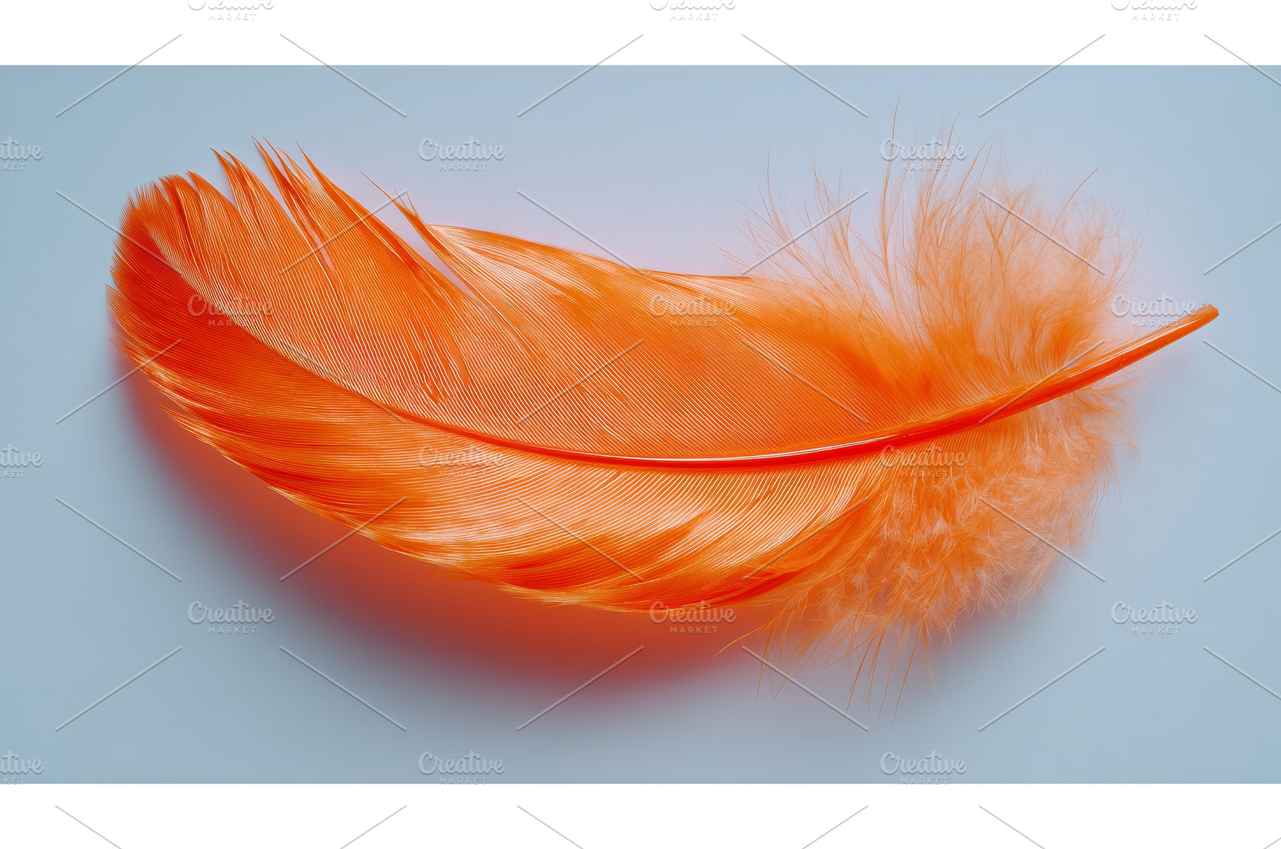 A delicate feather floats serenely, an Arts & Entertainment Photo by ZinetroN